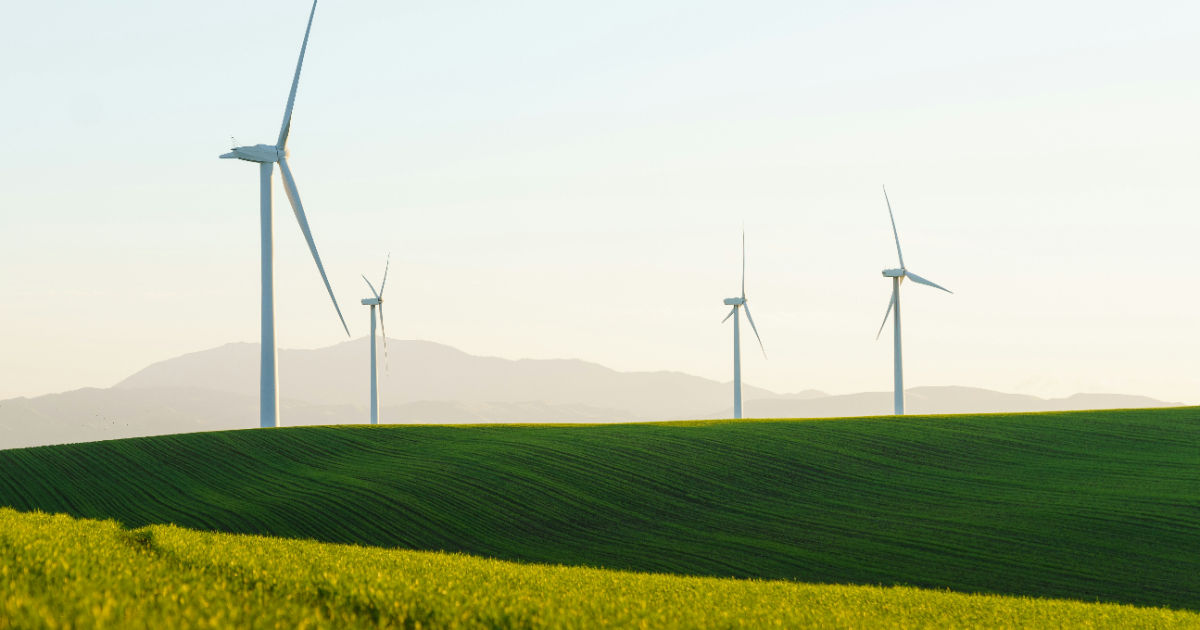 wind turbines in green fields